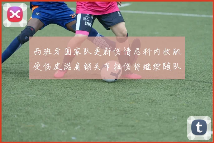 西班牙国家队更新伤情尼科内收肌受伤皮诺肩锁关节扭伤将继续随队训练
