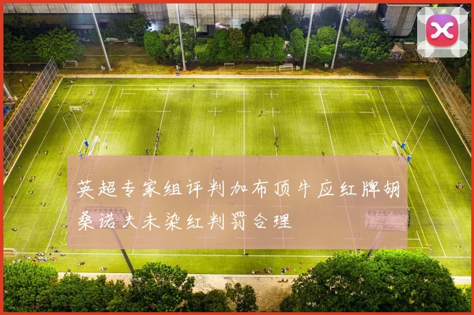 英超专家组评判加布顶牛应红牌胡桑诺夫未染红判罚合理