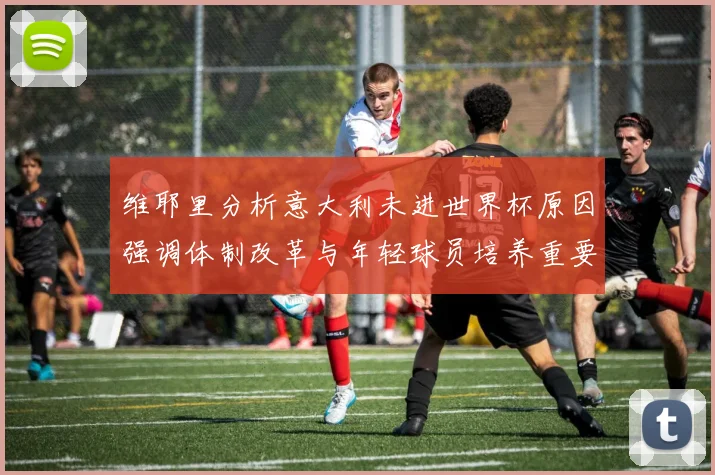 维耶里分析意大利未进世界杯原因强调体制改革与年轻球员培养重要性