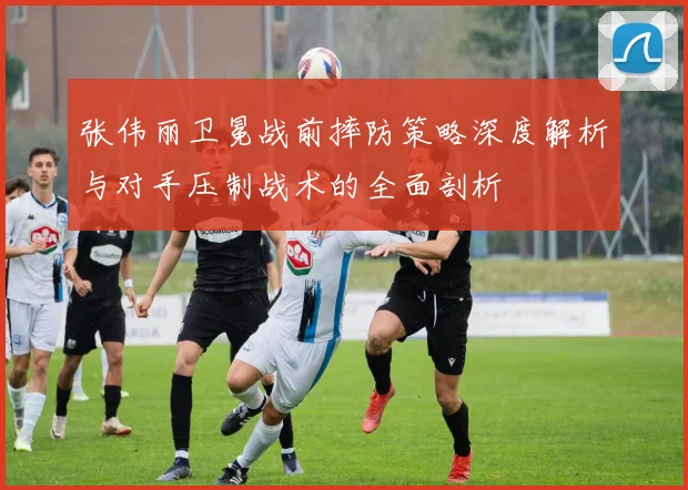 张伟丽卫冕战前摔防策略深度解析与对手压制战术的全面剖析